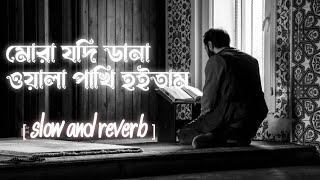 মোরা যদি ডানা ওয়ালা পাখি হইতাম Lofi | Moner Ghor | আমার মনের ঘরেতে রেখেছি যারে 💙✨