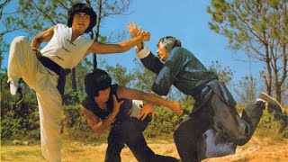 The Master Strikes (1980)