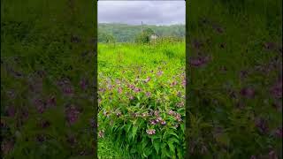 🏰 Castles & Travel Through Glasgow | Explore the Historic Side of Scotland 🇬🇧