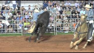 The 127th Camden Show 2013 - Rodeo Highlights