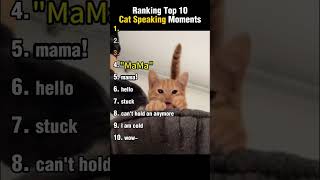 Top 10 Cat Speaking Moments