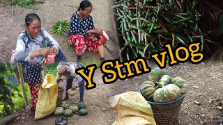 Today I went to field with my mother-in-law..