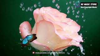 Beautiful Piano Instrumental for Relaxation | non copyright music | #noncopyrightedmusic