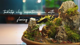 diy tabletop cliff aquaterrarium with a flowing stream | aquaterrarium| paludarium