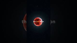 Corn Moon 2025! The Night of the lunar eclipse!