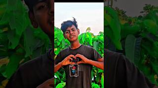 Jantam Jodi | Tausif Ahmed  | Bangla New Video | 2017 | My Sound। Ajadul official TikTok