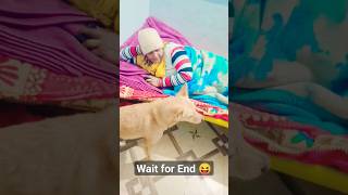 Wait for last Reaction 😁 #dogandfamily #jacky #dog #comedy #shorts #viral #trending #animals #funny