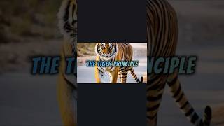 Tiger Bites #habitsthatchangeyourlife #motivation #facts #dothingsyoudontwanttodo #freedom #love