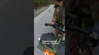 Stray Puppy Found a Forever Friend on the Road #heartwarmingstory