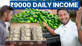100 दिन में 9 LAKH कमाने का मौका🚀💰Cucumber Farming | ककड़ी उगाओ, लाखों में कमाओ | Indian Farmer