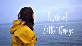 Niwel - Little Things (Lyric Video)