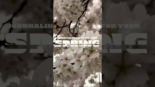 Journaling prompts for your creative spring 🌼🌱🌸