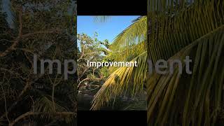 #discipline #consistency #motivation #officer #success