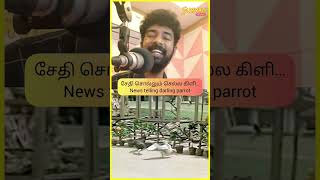 Singer Ft. RJ Gowtham #SuryanFM #Singer #RecreateChallenge #recreated #shorts