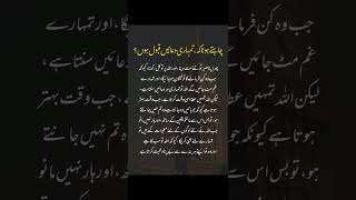 #sabar #deeneislam #viralvideo #like #peace #shoetsvideo #powerofdua