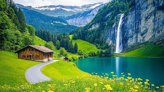 Relaxing Music for Emotional Balance 🌿 Gentle Piano Melodies & Nature Sounds to Soothe Your Mind