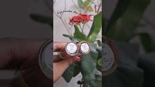 Lip combo for Brown skin 🍰| part 2|#youtubechannel #shorts #lipcombo #brownskingirl