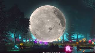lofi song