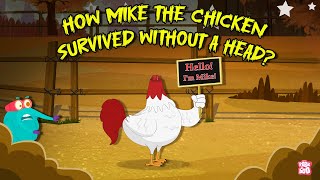 Miracles are Real | Story of Mike the Headless Chicken 🐔 | Fruita, Colorado | The Dr. Binocs Show