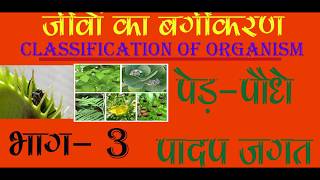 General science  Plant Kingdom (पादप जगत) For SSC CGL , CHSL , MPPSC, UPPSC , RAILWAYS EXAMS