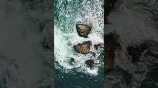 #nature #trending #viral #youtubeshorts #mindblowingshorts