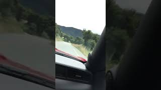 Ford Mustang GT350 fun! Woohoo!