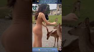 17 RARE Animal Clips You MUST See! ⚡ | WILD ZOOM  #animals  #animalshorts