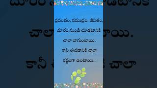 ప్రపంచం, సముద్రం, జీవితం దూరం నుండీ చూడటానికి |Telugu motivational quotes | #ytshorts #teluguquotes