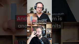 Supra-tip break #definitelynotapodcast