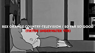 𝑅𝑒𝑥 𝑂𝑟𝑎𝑛𝑔𝑒-𝑇𝑒𝑙𝑒𝑣𝑖𝑠𝑖𝑜𝑛 / 𝑆𝑜 𝐹𝑎𝑟 𝑆𝑜 𝐺𝑜𝑜𝑑 (TikTok underwater ver.)