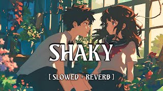 Shaky || Shaky Shaky (Slowed) || Shaky Shaky || Hindi Song || RM Music Flow 