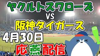 リーグ戦【ヤクルトスワローズ × 阪神タイガース】 応燕配信  2026.4.30