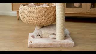 PetPals® Channel Trailer