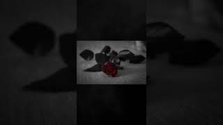 Engelbert Humperdinck Has the World Asking: How to Stop Loving Someone?