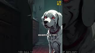 看完了你還敢吃肉嗎？他的愛人到底是妻子還是狗...