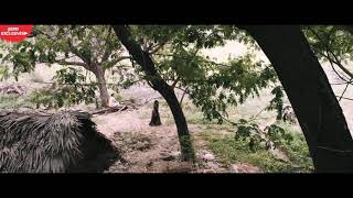 Kathari poovazhagi ,Asuran movie