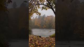 Autumn is close 🍵🍂🌧️ #autumn