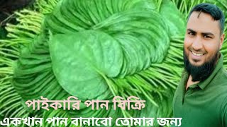 মিষ্টি মসলা দিয়ে পান পাইকারি পান বিক্রির হাট   Green_Lover_24 #পানসুপারি 