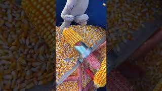 मक्का के दाने निकलने की जापानी टूल्स। Corn husking tools. #shorts