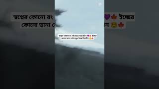 স্বপ্নের কোনো রং নেই 🍁☺️#shorts