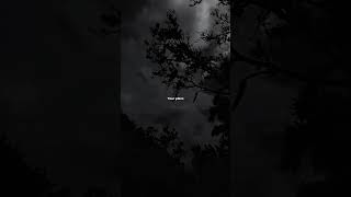 Some Things Grow Better in Silence… 🌙✨ #motivation #silentgrowth #lifequotes #shorts