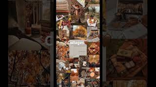 Types of fall wallpapers!!! Inspo for each in upcoming vids! 🍂🍁🍃 #wallpaperinspiration