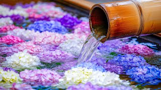 The World of Gentle Music: Tranquil Tracks to Soothe the Soul 🍀 Rediscover Yourself Amid Busy Life