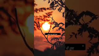 romantic couple status video of love
