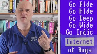 Strategies to Thrive as AIs get Better - Especially for programmers