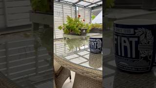 Tea On The Fragrant (???) Terrace In France - SHORT  #france #brittany   #avillagelifeinfrance