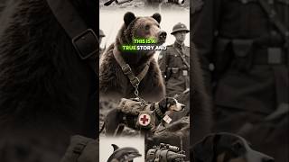 A TRUE STORY OF THE SOLDIER BEAR 🐻 (WOJTEK) #viralvideo #wojtek