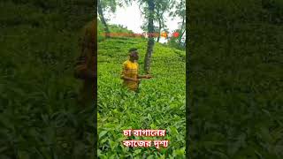 বিডিও  ভালো লাগলে সাপুট কর প্লিজ বন্ধু রা # #love song#