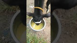 #majburi_hindi_kahani🔥💕