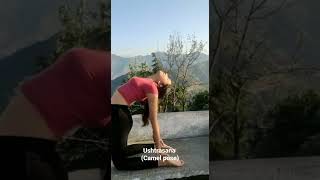 Ushtrasana (camel pose)| Backbend posture